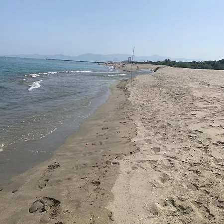 L'etoile De *